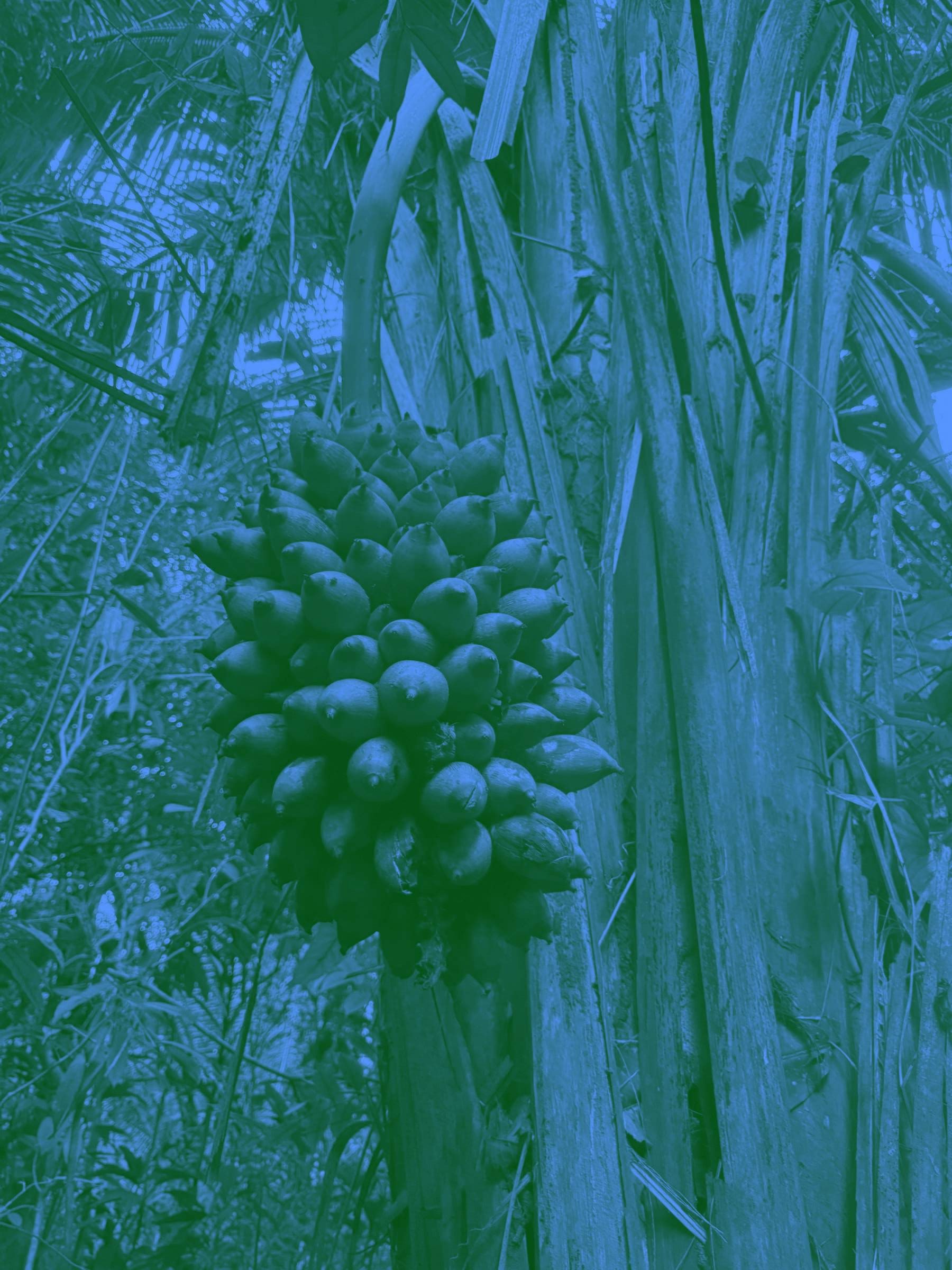 Four Days in the Peruvian Amazon